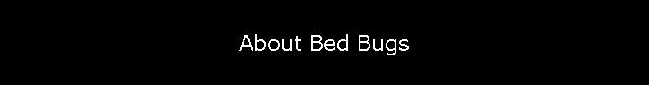 About Bed Bugs