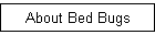 About Bed Bugs